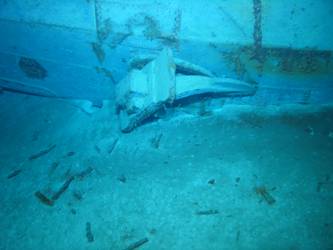 Bow and stbd anchor